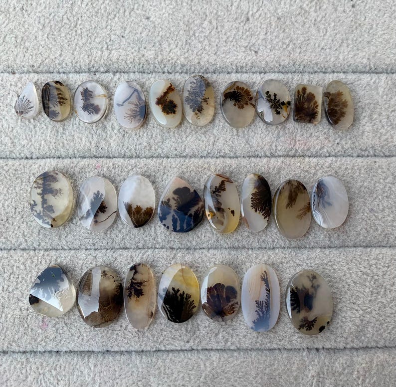 May include: A collection of polished dendritic agate gemstones in various oval and teardrop shapes. The stones display intricate, fern-like inclusions in shades of brown and black against a translucent, creamy white background. The gemstones are arranged on a light gray surface.