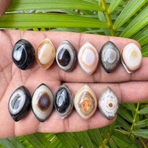 Peut inclure: Onze pierres polies en forme de marquise dispos&eacute;es sur deux rang&eacute;es. Les pierres pr&eacute;sentent des bandes naturelles vari&eacute;es et des motifs concentriques dans des tons de noir, blanc, beige, brun et gris, avec une surface lisse, brillante et r&eacute;fl&eacute;chissante.