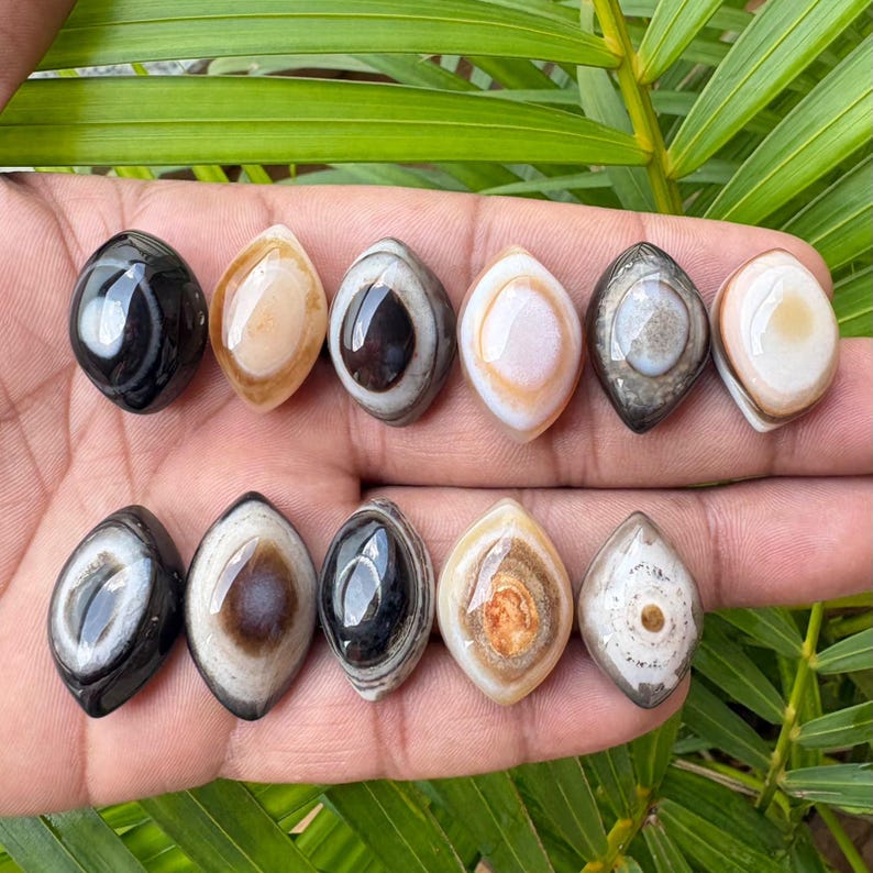 Peut inclure: Onze pierres polies en forme de marquise dispos&eacute;es sur deux rang&eacute;es. Les pierres pr&eacute;sentent des bandes naturelles vari&eacute;es et des motifs concentriques dans des tons de noir, blanc, beige, brun et gris, avec une surface lisse, brillante et r&eacute;fl&eacute;chissante.
