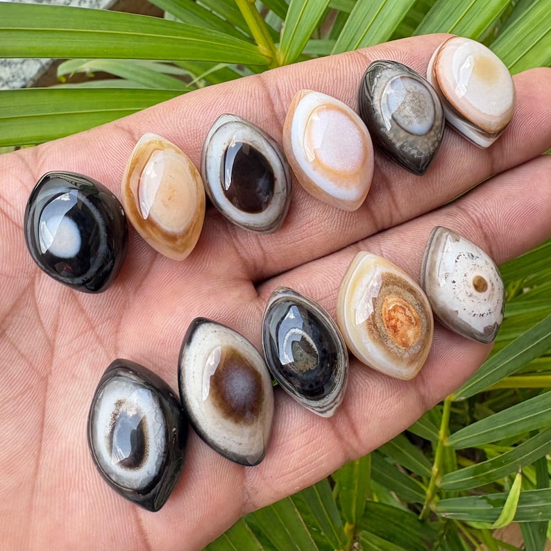 Peut inclure: Une collection de onze pierres polies en forme de marquise pr&eacute;sentant des motifs d'anneaux concentriques dans des tons de noir, blanc, beige, brun et gris. Chaque pierre a une finition lisse et brillante avec des marques distinctes en forme d'&oelig;il.
