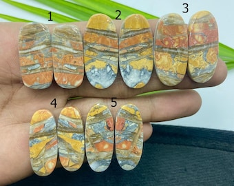 Par de cabujones de jaspe maliganio, piedra preciosa suelta con base plana