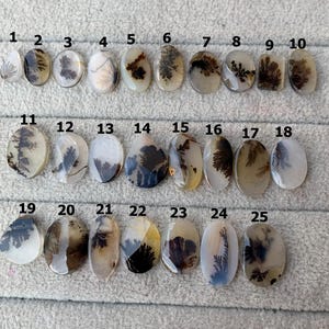 May include: A collection of 25 polished dendritic agate gemstones, each with unique patterns resembling trees or ferns. The stones vary in shape and size, with colors ranging from clear to milky white, brown, and black.
