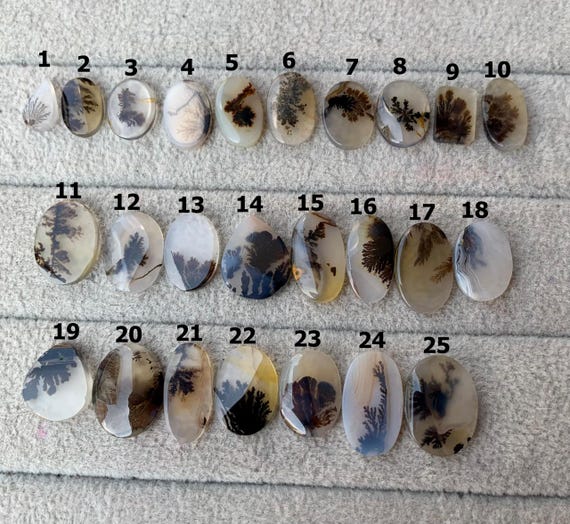 Natural Tree Agate Cabochon, Mix Shape Scenic Agate Gemstone, Tree Agate Loose Cabochon, Natural Shazar Agate Cabochon, Making For Jewelry
