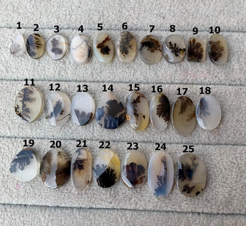May include: A collection of 25 polished dendritic agate gemstones, each with unique patterns resembling trees or ferns. The stones vary in shape and size, with colors ranging from clear to milky white, brown, and black.