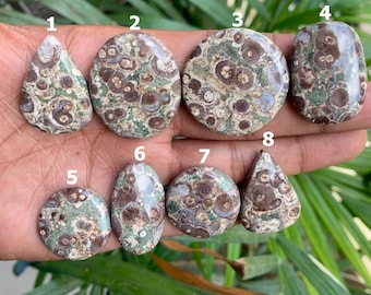 Krokodiljasper cabochon ädelsten, naturlig asteroid cabochon, lös ädelsten, naturlig krokodiljasper, platt baksida ädelsten, används för smycken