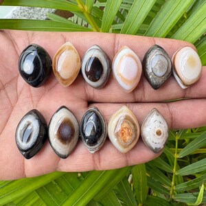 Peut inclure: Onze pierres polies en forme de marquise dispos&eacute;es sur deux rang&eacute;es. Chaque pierre pr&eacute;sente des motifs de bandes concentriques en forme d'&oelig;il dans diverses couleurs, dont le noir, le blanc, le brun, le beige et le gris, avec une finition lisse et brillante.