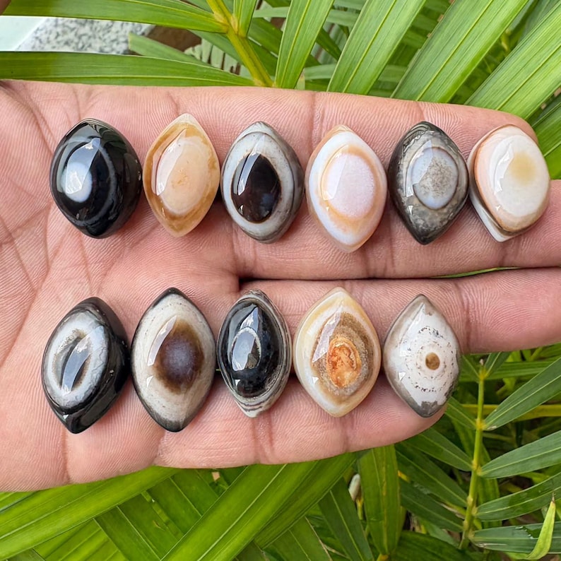 Peut inclure: Onze pierres polies en forme de marquise dispos&eacute;es sur deux rang&eacute;es. Chaque pierre pr&eacute;sente des motifs de bandes concentriques en forme d'&oelig;il dans diverses couleurs, dont le noir, le blanc, le brun, le beige et le gris, avec une finition lisse et brillante.