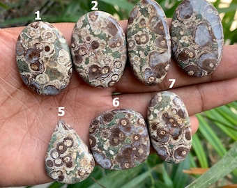 Naturlig krokodiljasper cabochon ädelsten, naturlig asteroid cabochon, lös ädelsten, platt baksida ädelsten, används för att tillverka smycken, hänge