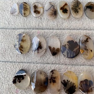 May include: A collection of polished dendritic agate gemstones in various oval and teardrop shapes. The translucent stones display intricate, fern-like patterns in shades of brown and black against a milky white or clear background. The stones are arranged on a gray surface.