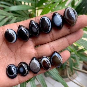 Pu&ograve; includere: Una collezione di pietre preziose di agata nera e bianca lucidata. Le pietre, di varie forme, tra cui ovali e a goccia, mostrano motivi a bande. Le pietre preziose sono tenute in una mano, con uno sfondo verde sfocato.