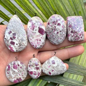 May include: Seven polished gemstones with a mix of shapes, including oval, teardrop, and rectangular. The stones feature a speckled pattern of deep pink and red inclusions within a light gray matrix. The gemstones are displayed against a backdrop of green foliage.