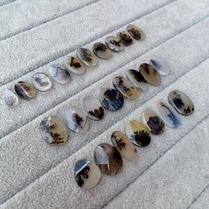May include: A collection of polished dendritic agate gemstones in various shapes, including ovals and teardrops. The stones display intricate, tree-like patterns in shades of brown, black, and white, set against a translucent background. The gemstones are arranged on a gray surface.