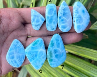 May include: Seven polished, light blue larimar gemstones in various shapes are displayed. The stones have a marbled appearance with white and darker blue veining. The gemstones are held in a hand against a background of green foliage.