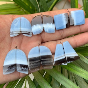 Puede incluir: Una colección de seis pares de cabujones de piedras preciosas pulidas azules y marrones. Las piedras tienen varias formas, incluyendo redondeadas, cuadradas y triangulares, con una apariencia en capas. Las piedras preciosas se sostienen en una mano sobre un fondo de hojas verdes.