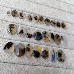 May include: A collection of polished dendritic agate gemstones in various oval and teardrop shapes. The stones display intricate, tree-like patterns in shades of brown and black against a translucent, creamy background. The gemstones are arranged on a gray surface.