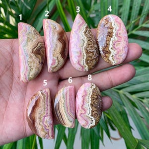 May include: A collection of polished gemstones in various shapes, including teardrop and oval. The stones display a mix of pink, brown, and cream colors with unique veining patterns. The gemstones are held in a hand against a backdrop of green foliage.