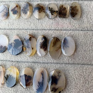 May include: A collection of polished dendritic agate gemstones in various oval and rectangular shapes. The stones display intricate, tree-like patterns in shades of brown and black against a translucent, milky background. The gemstones are arranged on a gray surface.