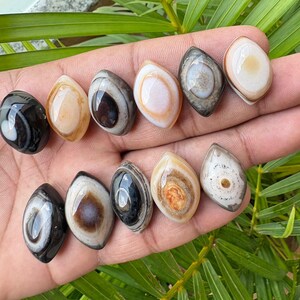 Peut inclure: Une collection de onze pierres polies en forme de marquise pr&eacute;sentant des motifs concentriques en bandes ressemblant &agrave; des yeux. Les pierres affichent une vari&eacute;t&eacute; de couleurs dont le noir, le blanc, le beige, le brun et le gris, avec une finition lisse.
