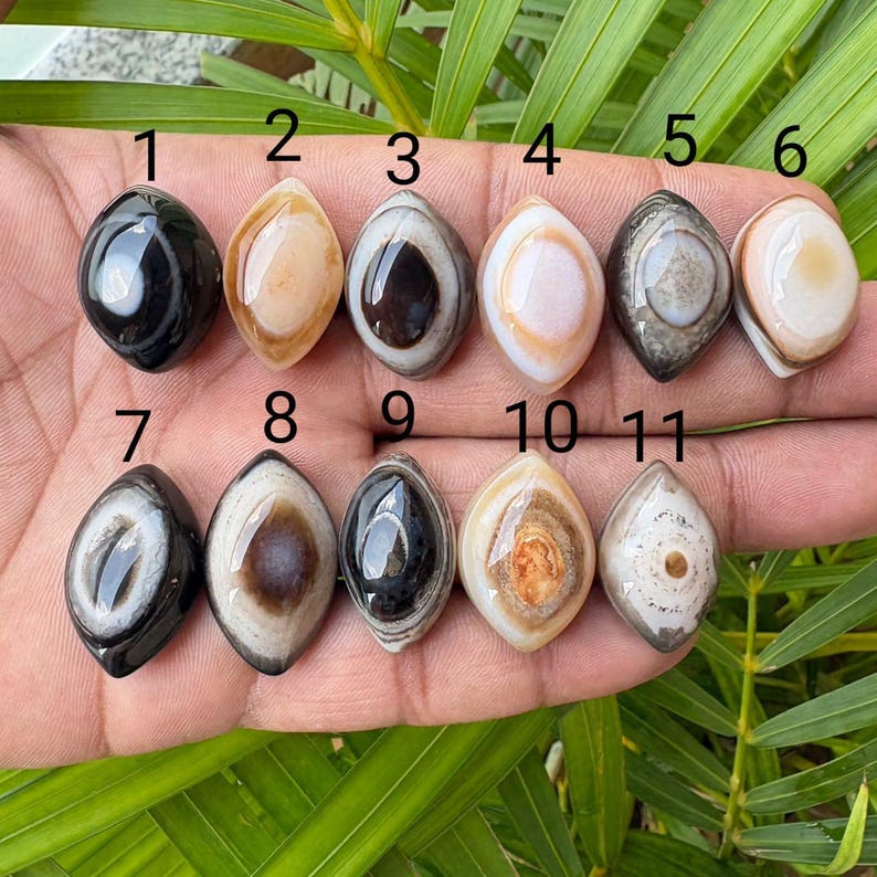 Peut inclure: Onze pierres pr&eacute;cieuses cabochons polies en forme de marquise, dispos&eacute;es sur deux rang&eacute;es et num&eacute;rot&eacute;es de 1 &agrave; 11. Chaque pierre pr&eacute;sente des bandes concentriques en forme d'&oelig;il dans des tons noir, blanc, beige, marron et gris, avec un fini lisse.