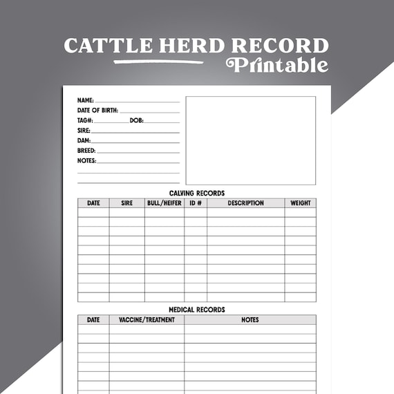 Cattle Herd Record Sheet, Printable Cattle Records Page, Homestead Cattle Care Tracker Sheet, Cattle Herd Tracker Minimal Ink, Printable/PDF