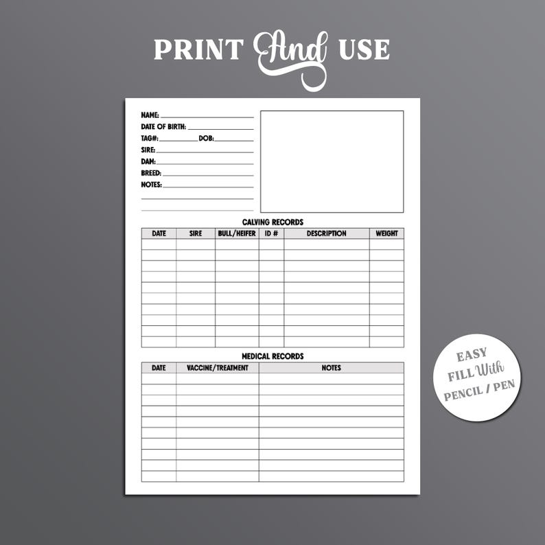 May include: Printable cattle record keeping sheet with sections for calving records and medical records. The sheet includes columns for date, sire, bull/heifer, ID number, description, weight, vaccine/treatment, and notes. The sheet is designed to be easy to fill out with a pencil or pen.