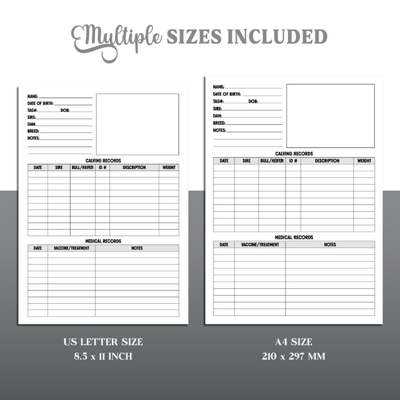May include: Printable cattle record keeping log in US Letter (8.5 x 11 inches) and A4 (210 x 297 mm) sizes. The log includes sections for name, date of birth, tag, sire, dam, breed, notes, calving records, and medical records.