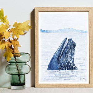Baleine à bosse - Illustration à l'aquarelle - Carte postale - Dessin à exposer - Fait main - Tirage