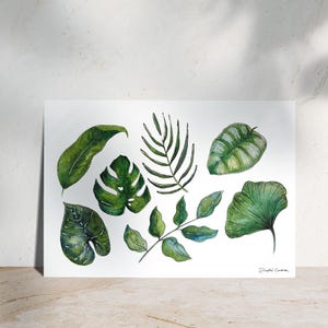 Feuillage de Polynésie - Illustration à l'aquarelle - Planche illustrée - Nature et botanique