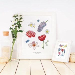 Illustration de fleurs de saison - Carte postale - Fait main à l'aquarelle - Printemps - Eté - Automne - Hiver