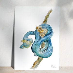 Serpent - Illustration à l'aquarelle - Carte postale - Dessin à exposer - Fait main - Tirage