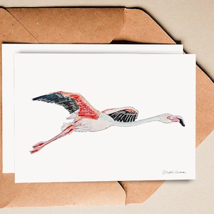 Le flamant rose - Illustration à l'aquarelle - Carte postale - Dessin à exposer - Fait main - Tirage