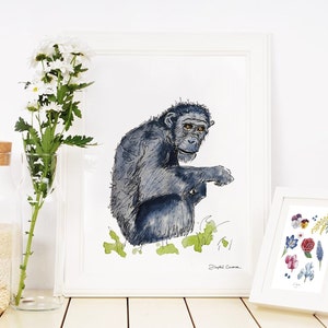 Le chimpanzé - Illustration à l'aquarelle - Carte postale - Dessin à exposer - Fait main - Tirage