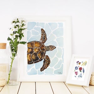Tortue de mer - Illustration à l'aquarelle - Carte postale - Dessin à exposer - Fait main - Tirage