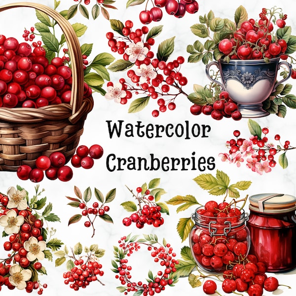 Watercolor Cranberries,12x High Quality PNG,Instant Download,Commercial Use