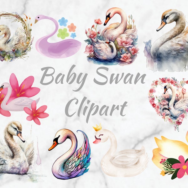 Baby Swan Animal Clipart,10x High Quality PNG,Watercolor Animal Photos,Instant Download,300 Dpi,Nursery Wall Decor