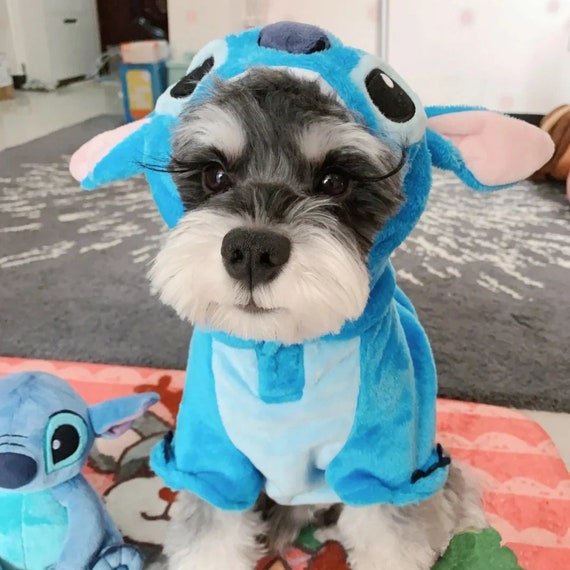 Cute Pet Clothes Cartoon Pet Clothing Winter & Fall Cat Puppy Dogs Clothes  for Dog - China Pet Supply and Pet Accessories price