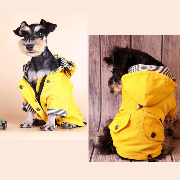 Cute Dog Clothes Etsy