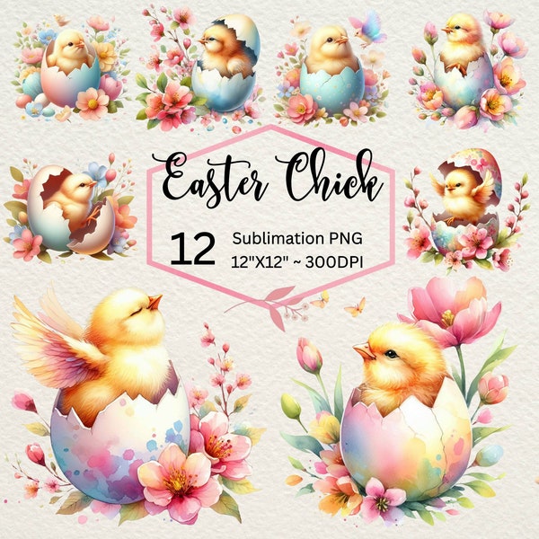 Easter Egg Chicks Clipart Png Bundle Spring Sublimation Design, Watercolor Baby Chick Clipart, Newborn Baby Craft, PNG Files