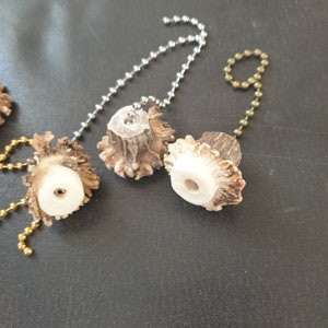 May include: Three antler fan pull chains with silver and gold chains. The antler fans are natural brown and white with a hole in the center.