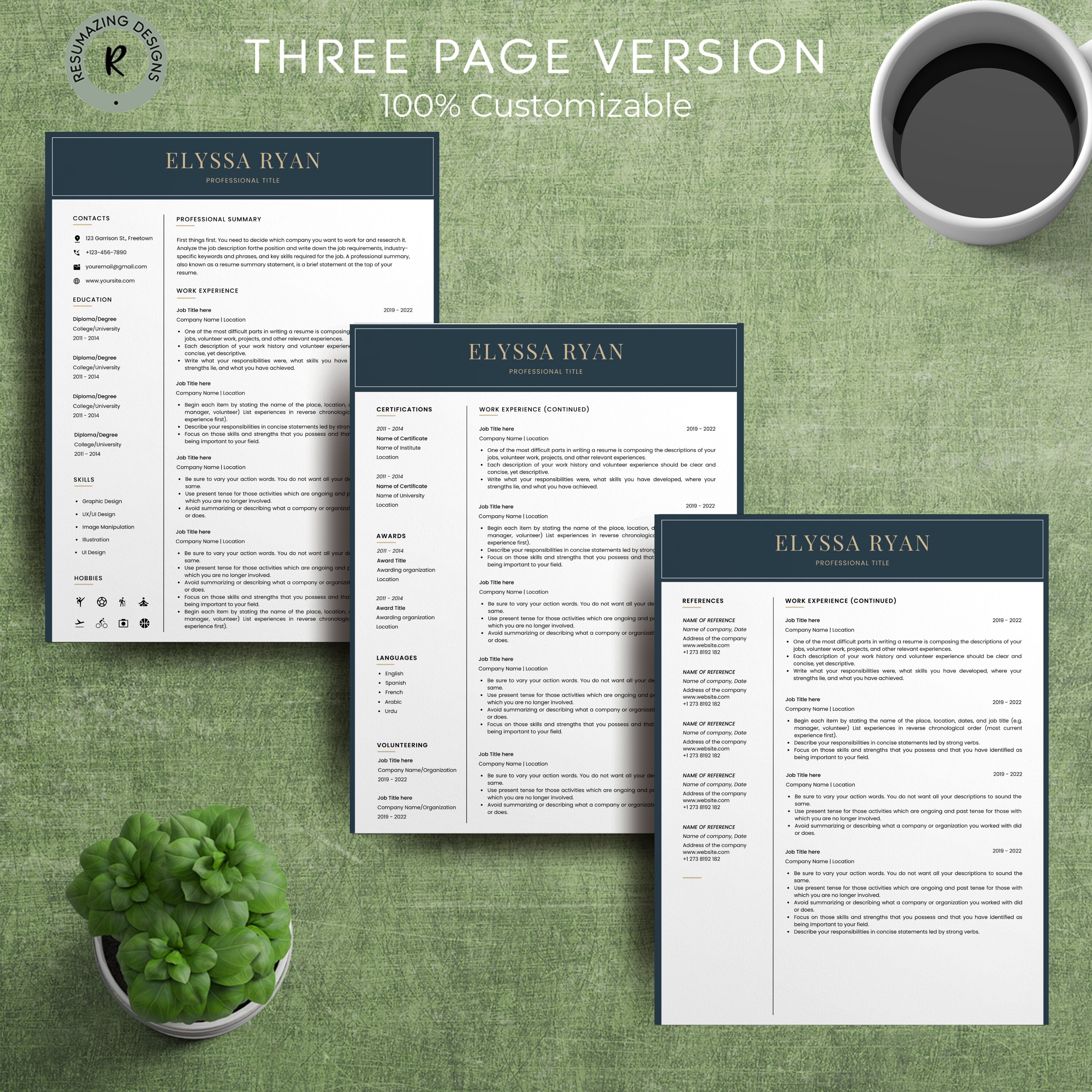 Resume Template Resume Template Google Docs Modern Resume Template Resume Template Resume Template Google Docs Modern Resume Template