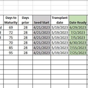 Simple Seed Starter Excel worksheet