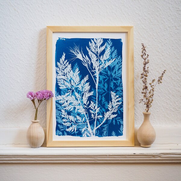 Original Cyanotype Wild Carrot - Botanical Art - Wall Decoration - A5 Format