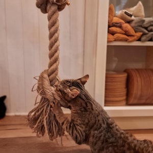 Rep för katter att klättra på – UTAN MONTERING, kattleksak med juteskrapa. Deckenseil zum Klettern für Katzen ohne Befestigung, Decken-Kratzbaum
