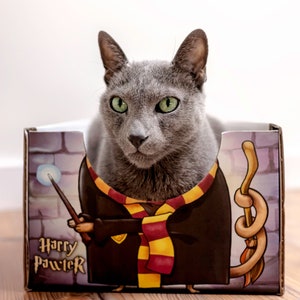 Caja para gatos Harry Pawter. Cama para gatos. Regalo para gato Halloween-Katzenkostüm fans de Harry Potter Geschenk für einen Katzenliebhaber divertido petbed