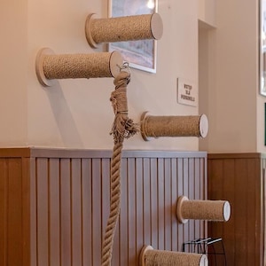 Pode incluir: Um arranhador para gatos com uma corda pendurada no topo. O poste é feito de madeira e tem um acabamento marrom. A corda é feita de fibras naturais e é amarrada em um nó na parte inferior. O poste é montado em uma parede e é cercado por outros arranhadores.