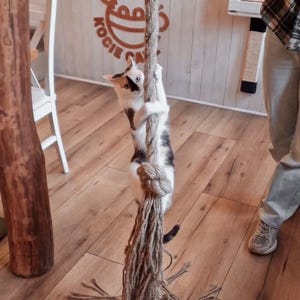 Jute Rope for Cats to Climb – WITHOUT MOUNTING, Jute Scratcher Cat Toy ...