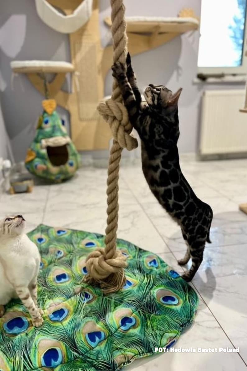 Cattoy jute rope for bengal cats, for big cats, cats activity rope kotiowo