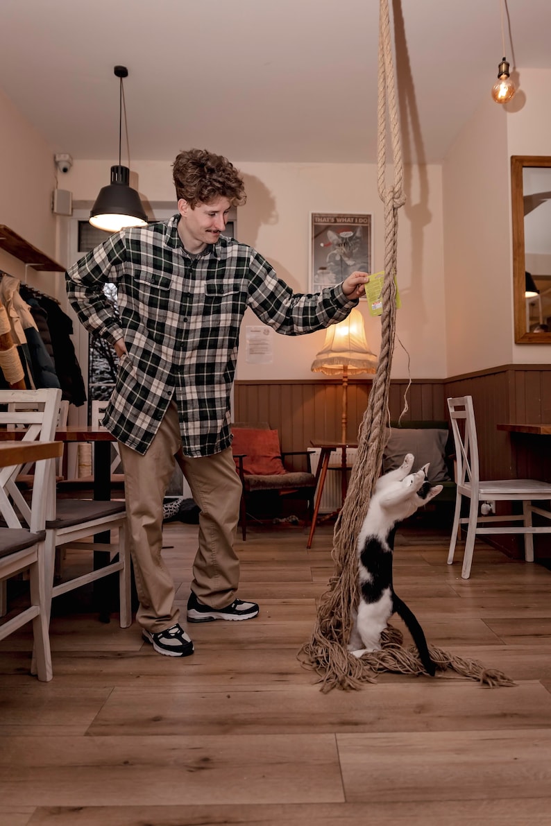 May include: A man in a plaid shirt plays with a black and white cat using a long rope toy. The cat is standing on its hind legs, reaching for the toy. The man is standing in a room with wooden floors and white chairs.