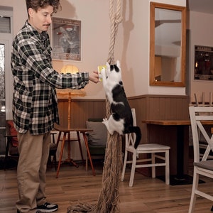 May include: A man in a plaid shirt holds out a yellow card to a black and white cat climbing a thick rope hanging from the ceiling. The cat is reaching for the card. The man is standing on a wooden floor in a cafe setting.