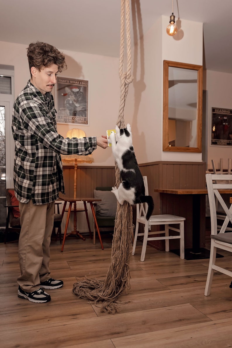 May include: A man in a plaid shirt holds out a yellow card to a black and white cat climbing a thick rope hanging from the ceiling. The cat is reaching for the card. The man is standing on a wooden floor in a cafe setting.